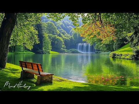 Calm Your Nervous System 🌿 Relaxing Music to Ease Anxiety & Quiet the Mind #1