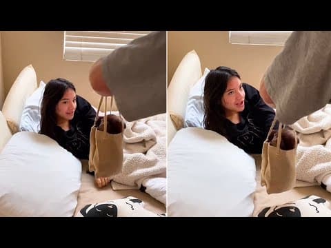 🐕 PUPPY Surprise Reactions That Will MELT Your HEART | Christmas 2025 Edition