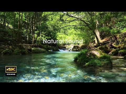 Where Spring Water (Groundwater) Flows, and its Beautiful Emerald Green Water - 7-hour  Compilation