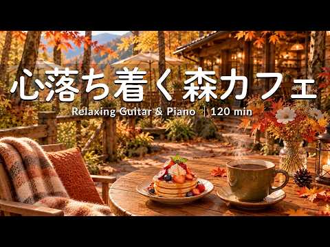 途中広告なし【癒しBGM】秋色の森で過ごす、心地いいカフェ時間 🍂☕️｜心ほどくひとりCafe BGM｜作業用・読書・リラックス｜Cafe Music・Coffee Shop Ambience