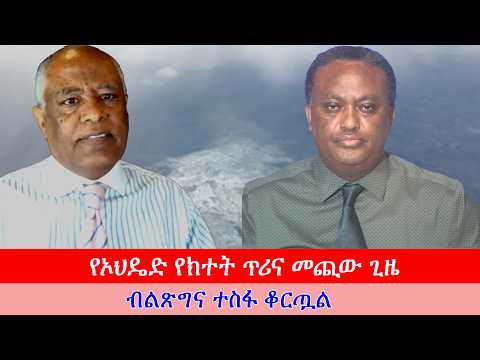 Anchor Media ''የኦህዴድ የክተት ጥሪ የብልጽግናውን ስርዓት ተስፋ መቁረጥ ያሳያል። ህዝቡ አንድ መሆን አለበት'' ዶ/ር ዮናስ ብሩ