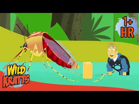Mosquitoes vs. Kratt Bros! 🦟 Florida Adventure | Wild Kratts | Scholastic Kids