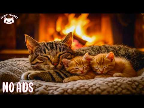 Gentle Healing Music for Cats 🐾 Soothing Sounds for Reduce Separation Anxiety, Stress & Restlessness