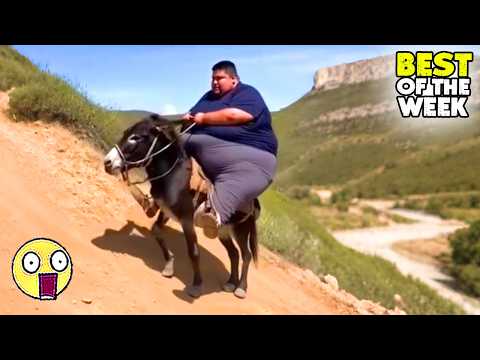 Try Not To Laugh |🤣 Top 100 Funniest Videos Ever |🎬🔥 Memes, Epic Fails & Pranks Compilation Part 01