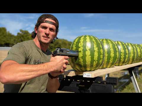 How Many Watermelons Does it Take to Stop a Bullet?