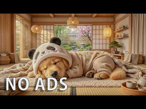 12 Hours of Calming Music for Dogs 🐶🌙 Relaxing Melodies for Anxiety Relief &amp; Better Sleep 💤