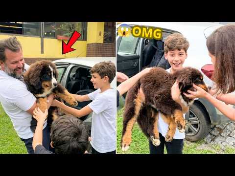 (FULL) When Dad Brought Home This Giant Dog… Nobody Expected It! 🐕 | Puppy Surprise Compilation 2026