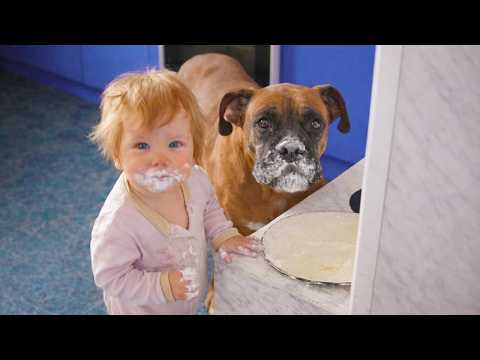 Babies With Dogs: 100% Cuteness Overload!🐶🥰