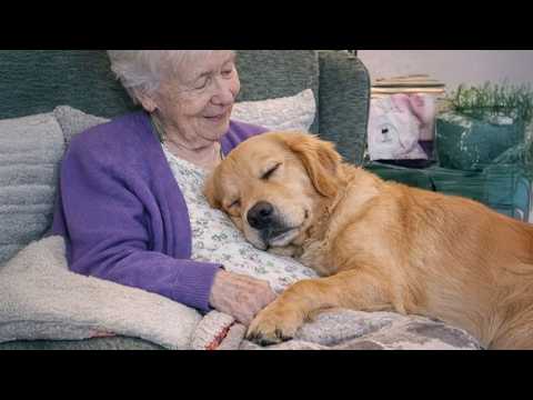 When Dogs Become Totally Obsessed With Their Grandparents 😂🐶