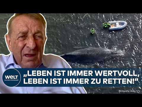 WAL TIMMY: "That can't be right!" Media Markt founder Gunz appalled by the passivity of the Germans