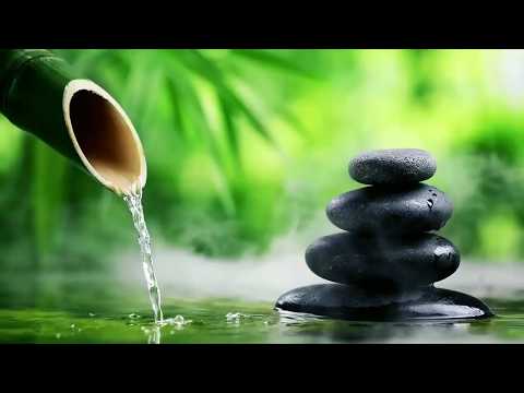 Bamboo Water Fountain Healing No Ads 24/7 自然の音とともに音楽をリラックス バンブーウォーターファウンテン【癒し音楽BGM】