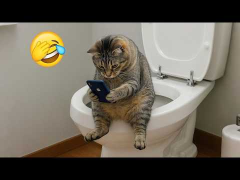 Funniest Cats and Dogs Clips 2025😼🐶Try Not To Laugh😜