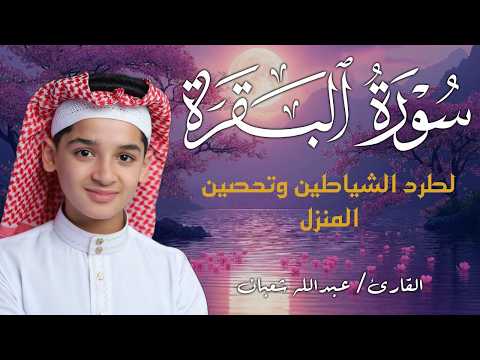 سورة البقرة كاملة || لطرد الشياطين وتحصين المنزل || الطفل القارئ عبدالله شعبان ||  Surat Al Baqarah