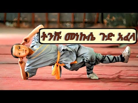 🛑ትንሹ መነኩሴ ወደ ከተማ ት/ቤት ተዘዋውሮ  ለእኩያዎቹ ተዓምር ሆነባቸው🛑the Shaolin BoyYou Movie Explained Am-JFRA