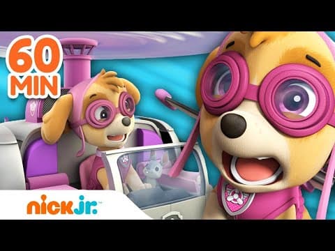 دوريات المخلاب: سكاي تحلق عاليًا! مع مارشال وتشيس ✈️ | تجميعة لمدة 60 دقيقة | Nick Jr. Arabia