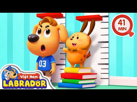 🐕‍🦺Kỷ niệm của Labrador và thú cưng Sunny | Hoạt hình thiếu nhi 👮 Cảnh sát trưởng Labrador Vietnam 🚔