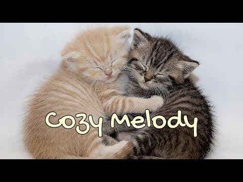 Peaceful Cat Nap with Solo Piano Melodies | Season 60