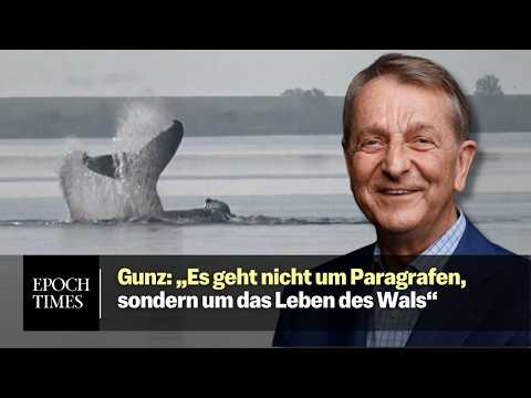 Walter Gunz: „Wir müssen uns auf das Wesentliche konzentrieren, und das ist der Wal“
