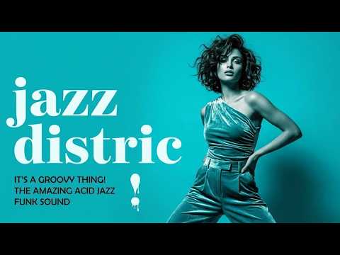 Acid Jazz Focus Flow 🎧 Groovy Nu Jazz Beats for Deep Work & Study #2