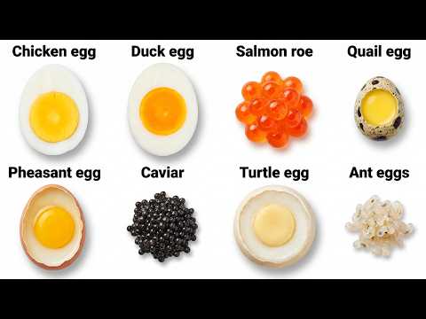 Every Egg Type Explained