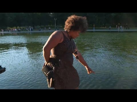 Concerns grow as blue coating peels off Reflecting Pool