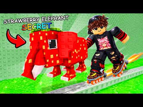 MA DAU cu ROLELE pentru BRAINROTI in ROBLOX