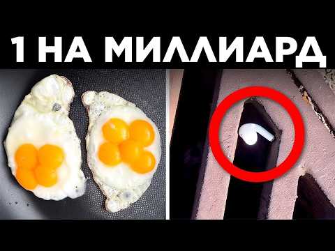 People Who Got Incredibly Lucky