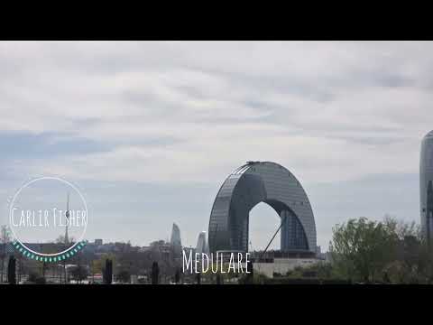 Carlie Fisher -Medulare