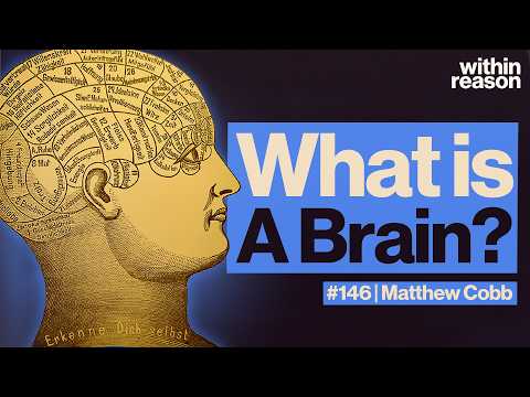 The Most Complicated Thing in the Universe: What is the Brain?