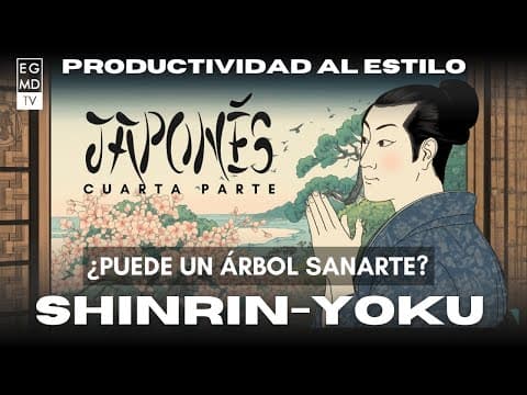 Shinrin‑Yoku: 15 minutos que reducen el estrés y suben tu productividad - 4 de 4