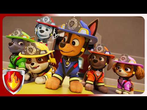 Introducing the Fire Pups | Marshall PAW Patrol | Cartoons for Kids