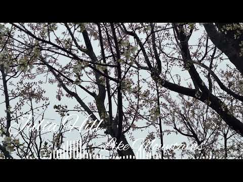 Julia Hill -Like Mountains