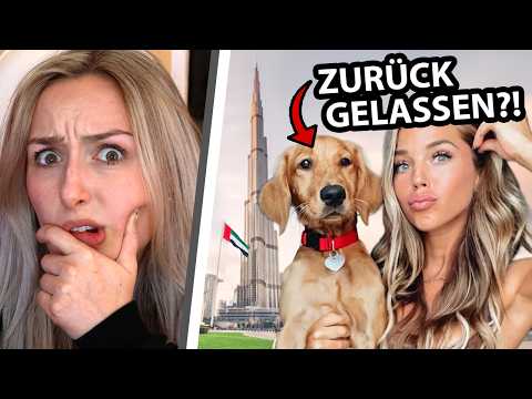 Wenn Dubai Influencer ihre Haustiere im Kriegsgebiet "vergessen"