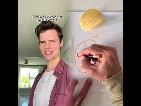 🤣👌👌👌2025 pov Must-Watch Crazy Clips Compilation #humor #fypシ #pov #fyp #foryou 😍😜