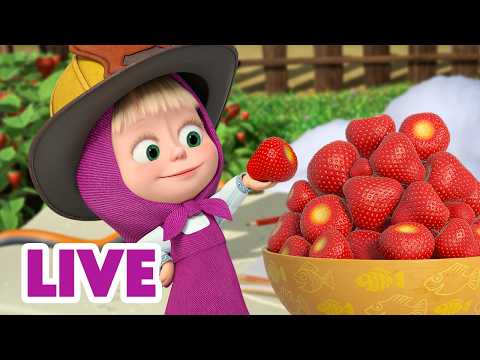 🔴 LIVE ⭐ Masha y el Oso 2026 🌼🐝 Fin de semana con Masha 🎬 Dibujos Animados en español