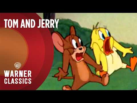 Tom and Jerry | Quackers and Friends Mega Compilation | Vol. 21 | Warner Classics