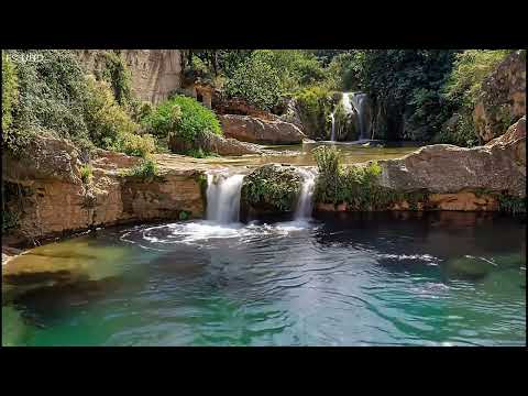 Relax and Unwind with Cheerful Birdsong and Small Waterfall in the Mountains