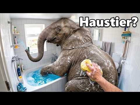 Ich habe die GRÖSSTEN Haustiere der Welt bekommen!