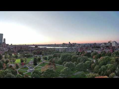 Boston Common LIVE - Fall Foliage 🍂 | 24/7 Boston Skyline Webcam