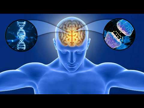 Gamma waves for STUDYING and MEMORIZING FAST 🧠 INCREASING PRODUCTIVITY