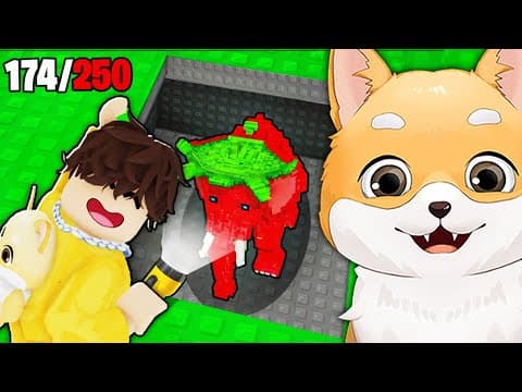 Am Gasit TOTI BRAINROTII in Roblox...