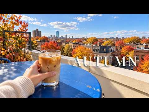 Playlist | Stepped onto the rooftop for the autumn breeze 🍂 | Breezy Groovy Pop