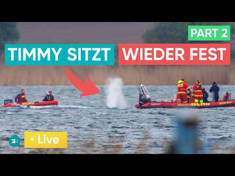 LIVE: Wal Timmy sitzt wieder fest - war es das?
