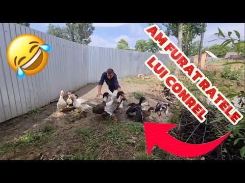 Am fost la amanet să verificăm dacă brățara este de AUR !